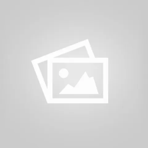 لمحة عن الدليل