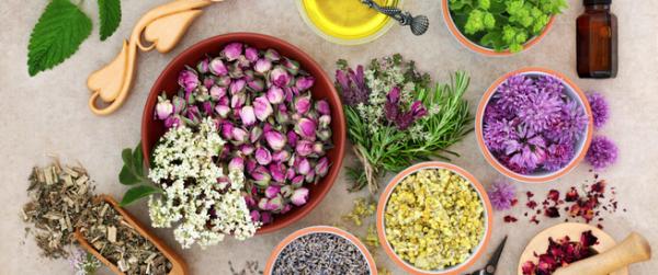 Herbs to regulate hormones