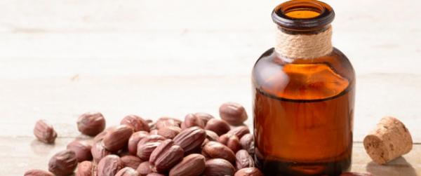 Aesthetic benefits of jojoba oil