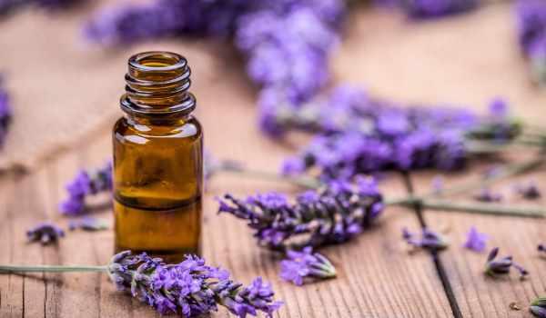 Lavender oil for hair